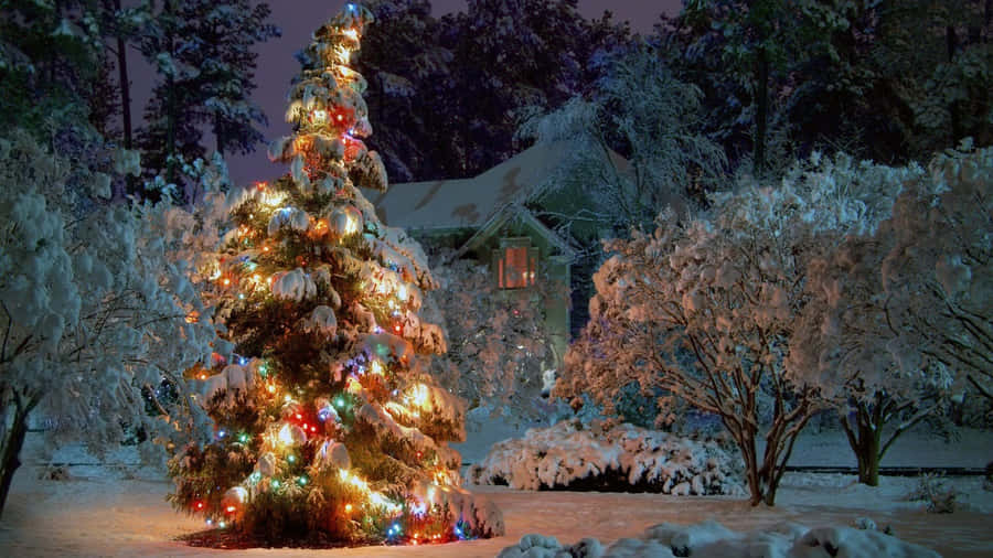 Winter Holiday Desktop Christmas Tree With Colorful Lights Wallpaper