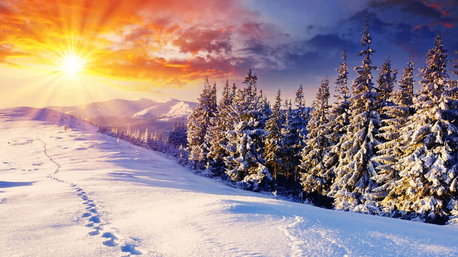 Winter Sunrise Hd Desktop Wallpaper