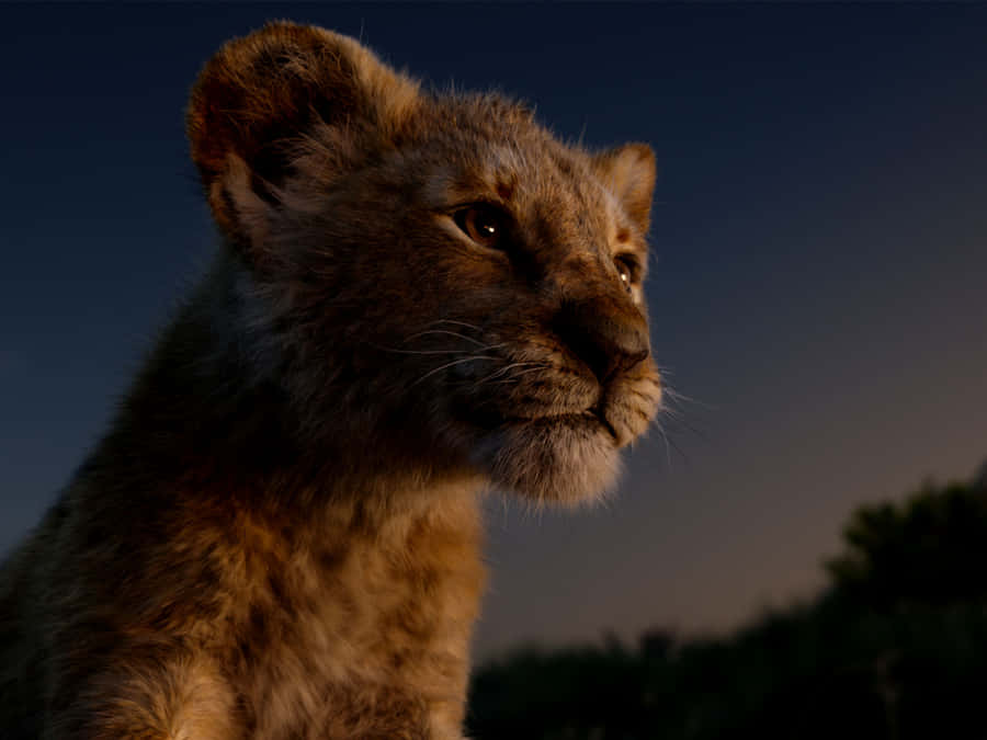 Witness Pride Rock’s Artistic Beauty In The Lion King Wallpaper