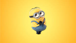 1080p Hd Minions Bob On Yellow Background Wallpaper