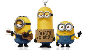 1080p Hd Minions I'm With Stupid Wallpaper