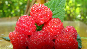 1080p Hd Raspberries Close-up Wallpaper