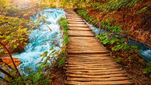 1080p Hd Wooden Bridge On River Wallpaper