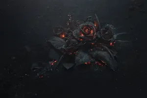 1920x1080 Hd Flower Black Wallpaper