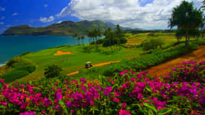 1920x1080 Hd Golf Iphone Theme Wallpaper