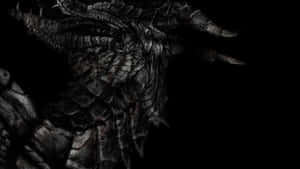 2560 X 1440 Skyrim Black Silver Dragon Wallpaper