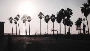 2560x1440 Basketball Hd [wallpaper] Wallpaper