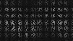 2560x1440 Black Wallpaper Wallpaper