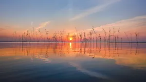 2560x1440 Nature Lake Finland Wallpaper
