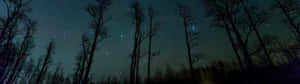 2732 X 768 Forest Sky Stars Wallpaper