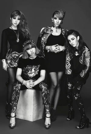 2ne1 Monochrome Snapshot Wallpaper