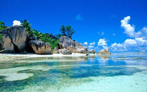 32k Ultra Hd Nature Beach Clear Water Wallpaper