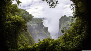 32k Ultra Hd Nature Cliffs In Forest Wallpaper