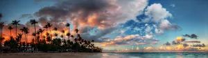 3840x1080 Hd Dual Monitor Sea Palms Wallpaper