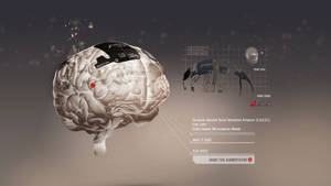 3d Gray Cerebral Graphic Wallpaper