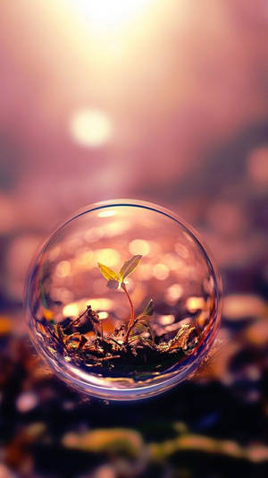 3d Hd Plant Bubble Wallpaper