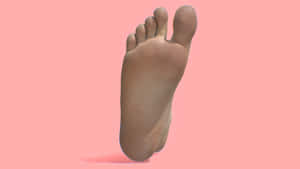 3d Male Feet On A Pink Wallpaper