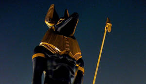 4k Anubis Statue At Night Wallpaper