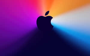 4k Apple Bright Lights Wallpaper