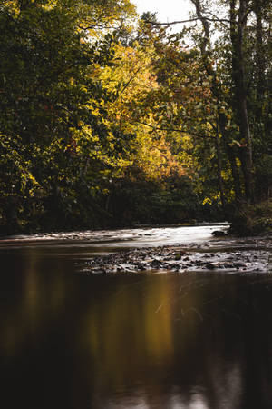 4k Autumn At River Wallpaper