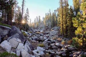 4k Autumn Yosemite National Park Wallpaper