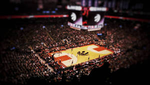 4k Basketball Raptors Home Court Wallpaper