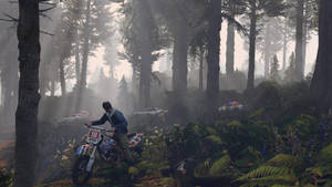 4k Gta 5 Trevor Philips In Forest Wallpaper