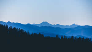 4k Minimal Blue Mountain Ranges Trees Silhoutte Wallpaper