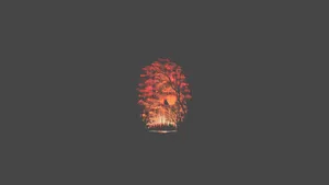 4k Minimal Orange Tree Forest Wallpaper