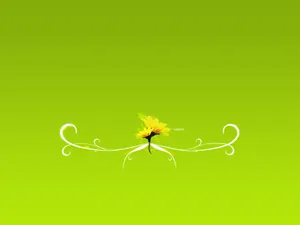 4k Nature Green Background Wallpaper