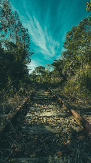 4k Nature Iphone Railway Wallpaper