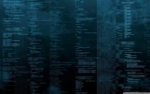 4k Programming Blue Screen Wallpaper