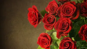 4k Roses On Brown Wall Wallpaper