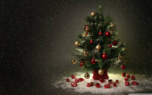 4k Ultra Hd Christmas Tiny Tree Wallpaper