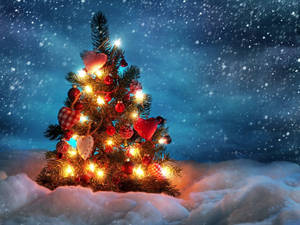 4k Ultra Hd Christmas Tree Winter Wallpaper