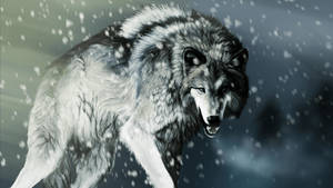 4k Ultra Hd Photo Of Gray Wolf Wallpaper