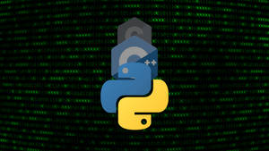 64k Ultra Hd Hacker Python Logo Wallpaper