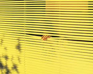 70s Aesthetic Desktop Yellow Venetian Blinds Wallpaper