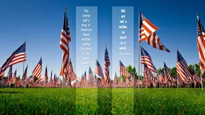 911 Memorial American Flags Wallpaper