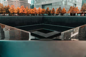 911 Memorial Pool Autumn Trees Wallpaper