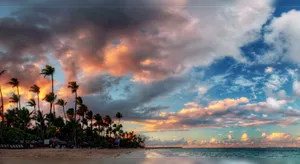 A Beach With Palm Trees And Clouds In The Sky Wallpaper