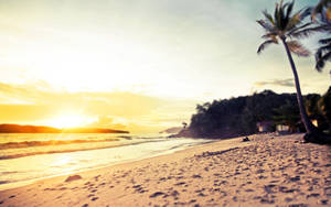 A Beach With Palm Trees And The Sun Setting Wallpaper