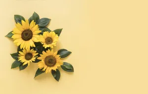 A Beautiful Arrangement Of A Sunflower And Roses Wallpaper