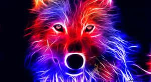 A Beautiful, Blue-eyed Wolf Looks Straight Into The Camera, Its Vibrant Fur Glowing In The Sunlight. Wallpaper
