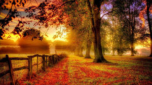 A Beautiful Country Road Illuminated By A Vibrant Autumn Sunset Wallpaper