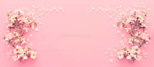 A Beautiful Field Of Pink Cherry Blossom Trees Wallpaper