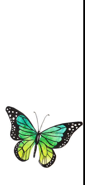 A Beautiful Green Butterfly With Vibrant Wings Resting On A Petal-filled Blossom Wallpaper