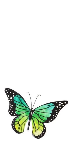 A Beautiful Green Butterfly With Vibrant Wings Resting On A Petal-filled Blossom Wallpaper