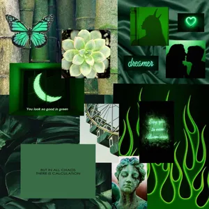 A Beautiful Green Collage With Natural Elements. Wallpaper