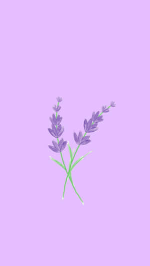 A Beautiful Lilac Color Accentuates This Nature-inspired Wallpaper. Wallpaper